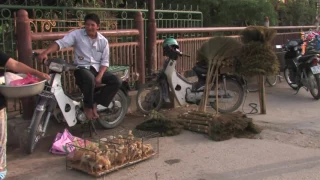 Hanoi   Halong Bay    Voyage to the land of junks and sampans Documentary, Discovery, History