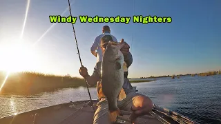 Windy Wednesday Nighters | IN THE MONEY AGAIN...