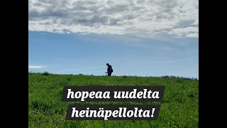 metallinetsintää - hopeaa uudelta heinäpellolta #metallinetsintä #metaldetecting