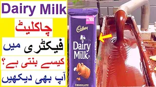 How Dairy Milk is Made in Factory - Reality Tv