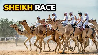 How much SHEIKHS SPEND on RACING?! | the FASTEST animals in the WORLD