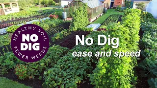 No dig, easy and speedy!