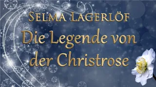 🎄 ༻❀༺ Die Legende von der Christrose - Selma Lagerlöf - Weihnachtsgeschichte für Erwachsene