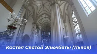 Костёл Святой Эльжбеты (Львов)