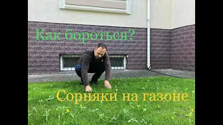 Боремся с СОРНЯКАМИ НА ГАЗОНЕ