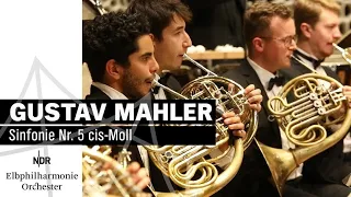 NDR Youth Symphony Orchestra performs Mahler: Symphony No. 5 C sharp Minor | Elbphilharmonie | NDR