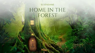 Enchanted Forest Music  ༄ Relaxing Magical Forest Music 🌳 Home In The Forest