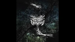 Dreams of the Drowned - Missed Springs [Full] (2021) - black metal