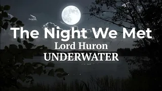 Lord Huron - The Night We Met ( Lyrics+Underwater )