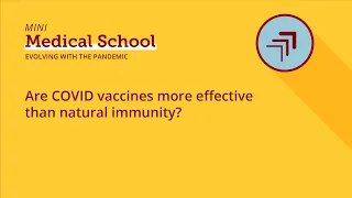 Are COVID vaccines more effective than natural immunity?