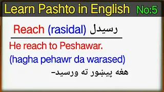 English to Pashto 4000 essential English words (Book 1) Lesson 5 | learn pashto language