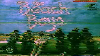 The Beach Boys - Ding Dang (Slowed and Reverb)