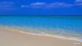 【作業用BGM】沖縄の海とカモメと波の音/Healing and Relaxing 2 hours