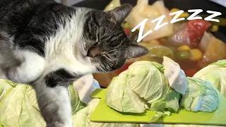 Making an easy and tasty vegetable soup while my cat takes a nap