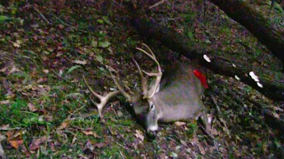 GIANT West Virginia Buck Down! 2022 Deer Season Ep. 8