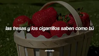 Troye Sivan — Strawberries & Cigarettes [Sub. Español]