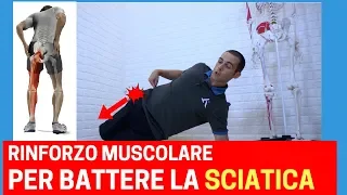 Esercizi per la SCIATICA: RINFORZA QUESTI 3 MUSCOLI!