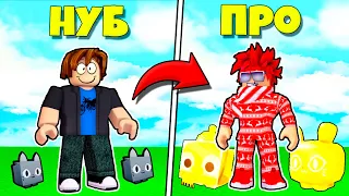 НОВЫЙ МИРОВОЙ РЕКОРД ПО ПРОХОЖДЕНИЮ В PET SIMULATOR X ROBLOX