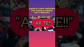 A Los Angeles Angels Story