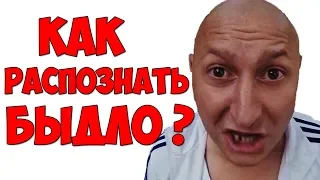 Как распознать Быдло? / Кто такие Быдло.