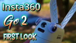 Insta360 Go 2 vs Go - First Look. An honest talk about Insta360 vs GoPro