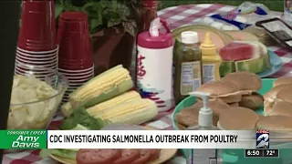 CDC investigating salmonella outbreak from poultry