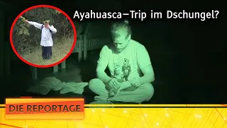 "Kein Alkohol, kein S*x, keine Süßigkeiten": Der Ayahuasca-Trip 🌿 | 2/6 | Die Reportage | ATV