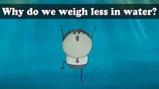 Archimedes Principle - Why do we weigh less in water? | #aumsum #kids #science #education #children