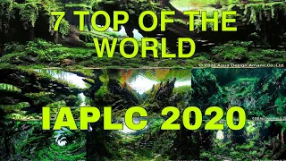 IAPLC 2020 | Best 7 Aquascape IAPLC 2020 Top of the World