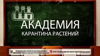 ФГБУ «ВНИИКР» запустил образовательную цифровую платформу «Академия карантина растений»