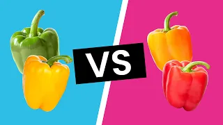 Green, Yellow, Orange, & Red Bell Peppers - What's the Difference?