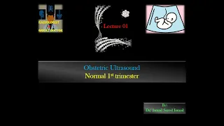 Obstetric Ultrasound -Lecture 01 -Normal 1st Trimester