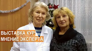 Выставка отечественных пород кур-2019. Мнение эксперта Севастьяновой А.А.