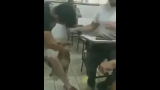 cachorro na sala de aula 🥰🥰