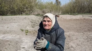 Самосели Чорнобиля: Остання з Опачичів