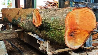 The process of sawing acacia wood for door materials