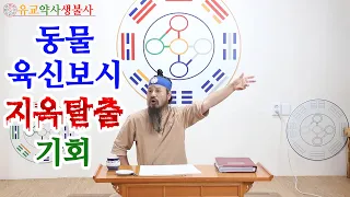 [유교약사생불사 205강] 지옥에서 죄업을 닦지 못한 인간은 동물육신으로 태어나 인간들에게 육신보시를 하면 죄업을 닦을 수 있다.