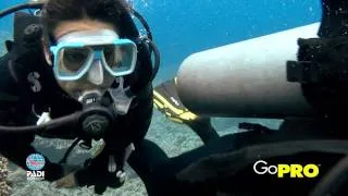 Devin Thompson, Divemaster