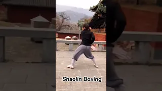 The martial arts of Shaolin,Recruit and defeat the enemy