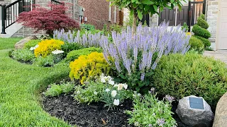 Talking tour of Tracy’s late spring garden // Full Garden Tour with Plant Names - Early June 2021