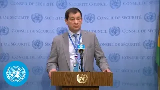 Russia comments after they VETOed resolution by Ireland and Norway on Syria - UNSC Stakeout