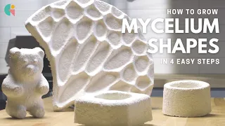 GIY Material Instructions - Grow Mycelium Shapes In 4 Easy Steps