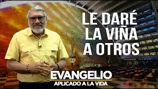LE DARÉ LA VIÑA A OTROS | Evangelio Aplicado (SAN MATEO 21, 33-43) - SALVADOR GOMEZ