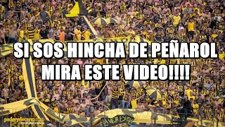 SI SOS HINCHA DE PEÑAROL TENES QUE MIRAR ESTE VIDEO!! 2020