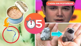 25 Cosas que no sabías hace 5 min⏰ [72]