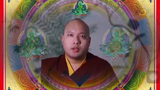 Prayer of the Tara, by 17th Gyalwang Karmapa. https://www.youtube.com/@NeverGiveUp1707