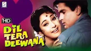 Dil Tera Deewana -  Shammi Kapoor, Mala Sinha - Comedy Movie  - HD