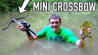 I Hunted BULLFROGS with Mini-Crossbow!