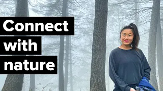 How Nature Helps Us Stay Connected (forest bathing)