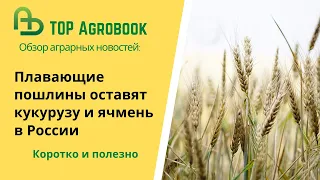 Плавающие пошлины оставили кукурузу и ячмень в России. TOP Agrobook: обзор аграрных новостей